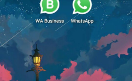 WhatsApp bussiness是什么，能做什么？