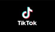 TikTok网页版入口