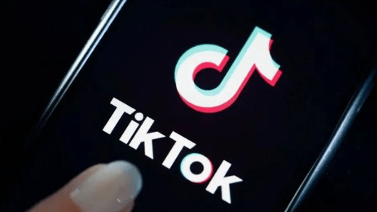 Tiktok快速涨粉的视频类别-1